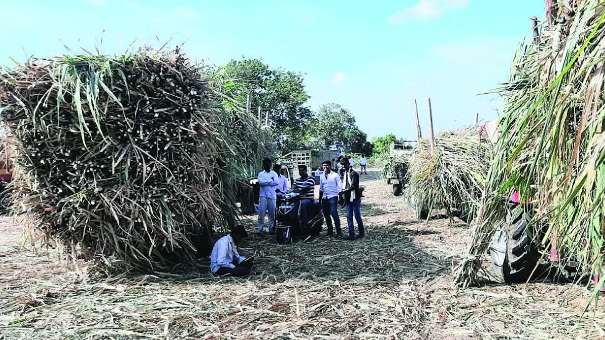 भेंडा परिसरातून बीड-गेवराईत लागवडीसाठी दररोज जातोय 400 टन ऊस