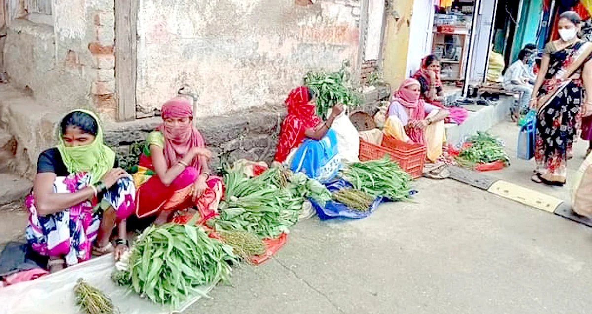 आदिवासी भागात रानभाज्यांना बहर !