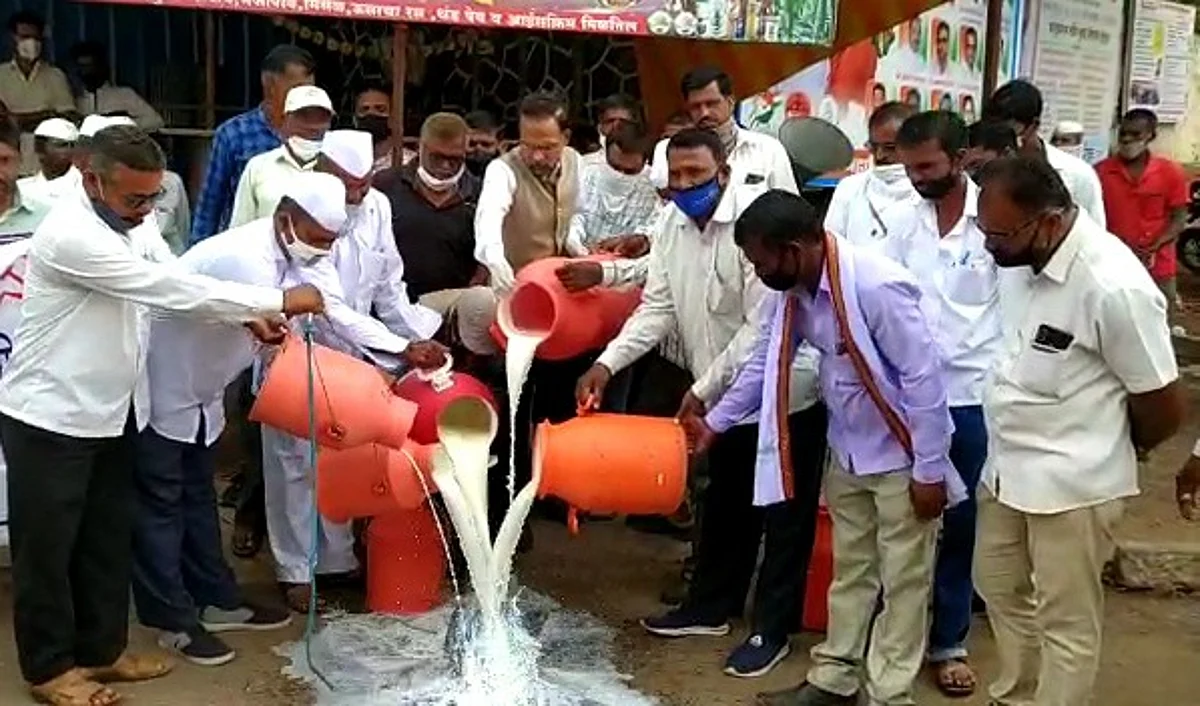 अकोले : दुध दरवाढीसाठी कोतुळ व आंबड़ येथे दूध उत्पादकांची निदर्शने