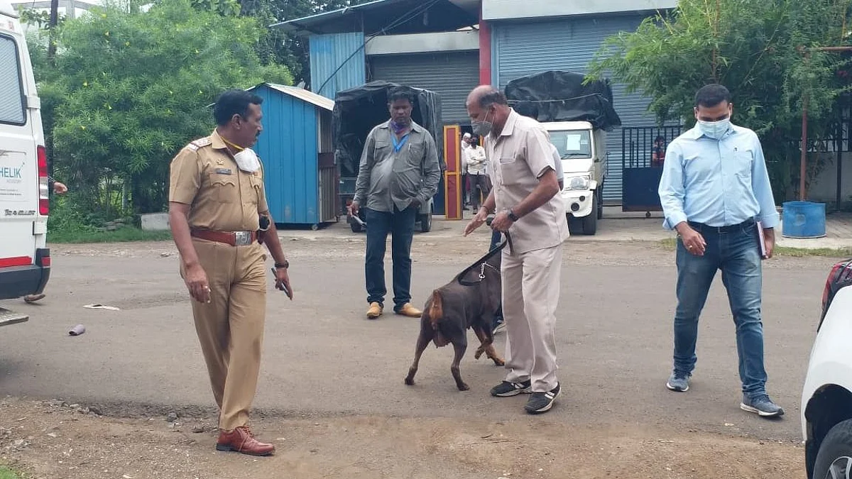 सातपूर एमआयडीसीत धाडसी चोरी