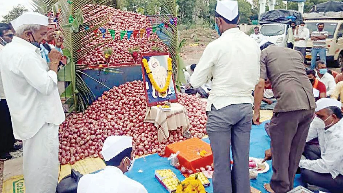 अमावस्येला 871 वाहनांमधील कांदा लिलाव