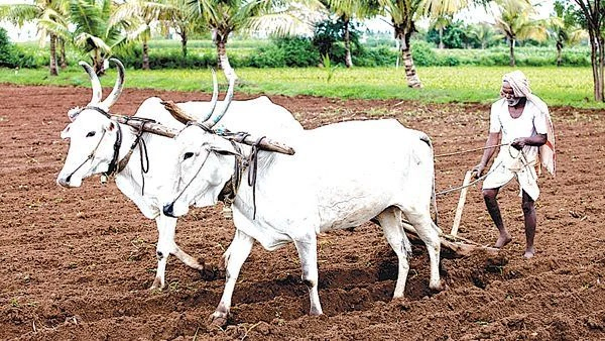 Fertilizer dealers on Govt radar