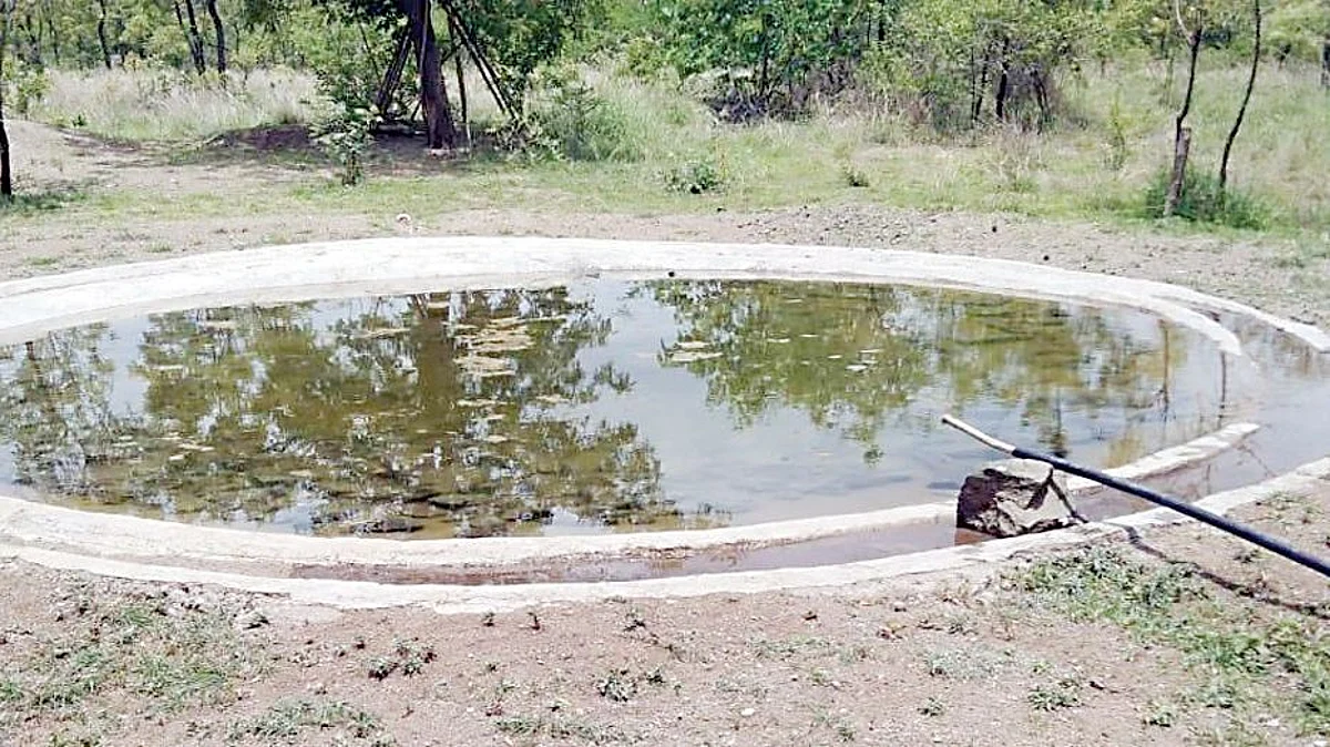 सोलर बोअरवेलद्वारे भागविली जातेय तृष्णा