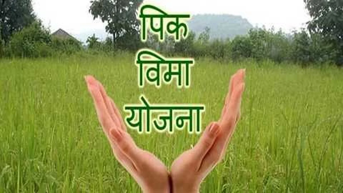 पीकविमा मिळणार तरी केव्हा?; शेतकर्यांमध्ये चिंता