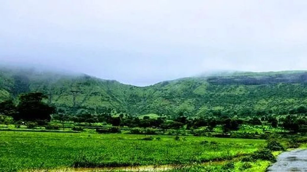Declare Brahmagiri eco-sensitive zone: Rajendra Singh