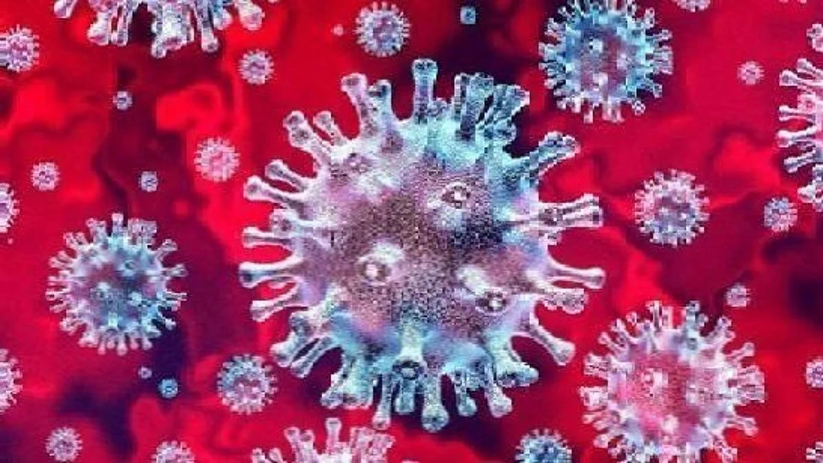 जिल्ह्यात दिवसभरात ८३ जणांचे अहवाल पॉझिटिव्ह