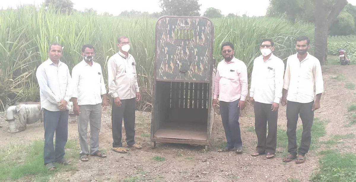 अखेर सोनेवाडीत बिबट्यासाठी वन विभागाने लावला पिंजरा