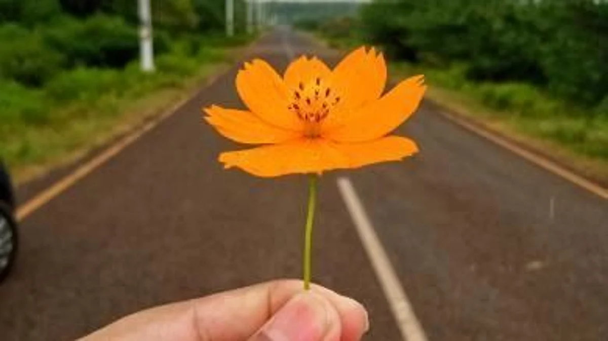The beauty of the South Road