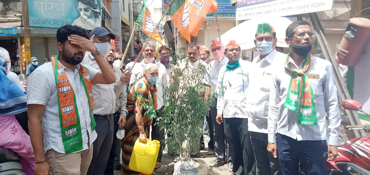 संगमनेर नगरपालिकेसमोर खड्ड्यात वृक्षारोपण करून भाजपचे आंदोलन