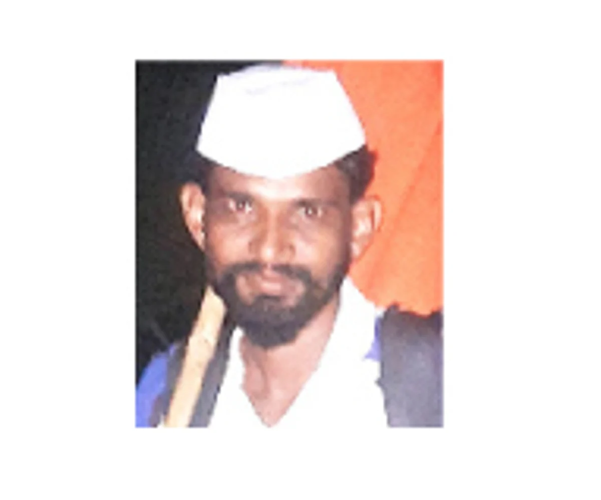 पंढरीच्या वारी, निघाली एकटी स्वारी