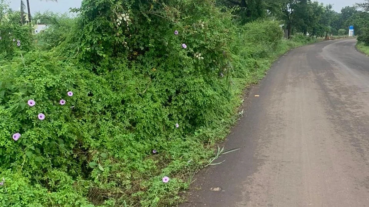Rural roads to get a facelift under PM scheme