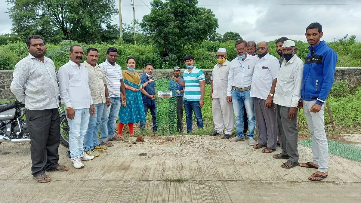 Tree nurturing is equivalent to plantation: Balkawde