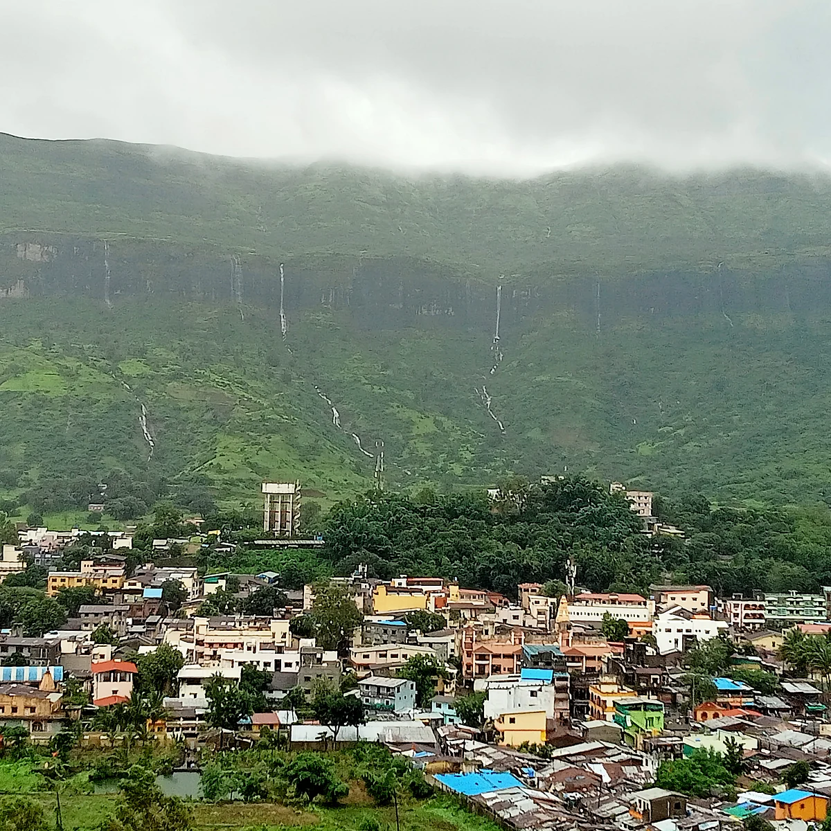 Photogallery : त्र्यंबक परिसर बहरला !