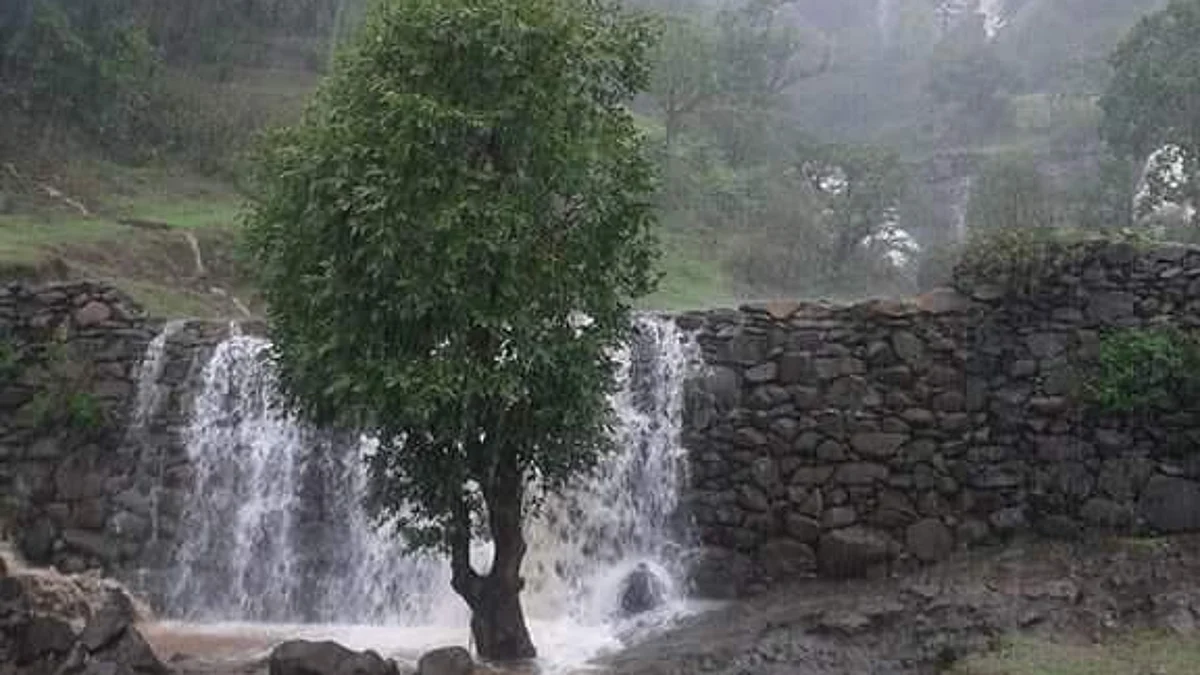 भंडारदरा पाणलोटात पावसाचा जोर ओसरला