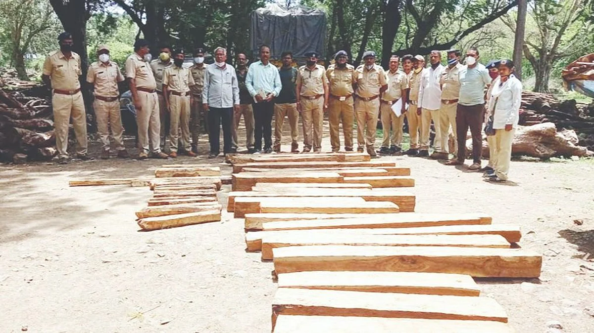 बारी येेथे एक लाखाचे सागवानी लाकूड जप्त
