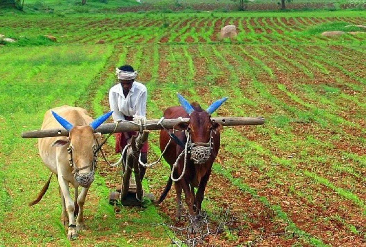 कृषी विधेयकांची संशयास्पद घाई थांबवा, अन्यथा आरपारची लढाई