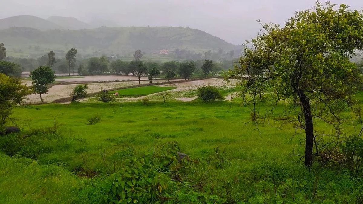 इगतपुरी तालुक्यात पावसाची संततधार