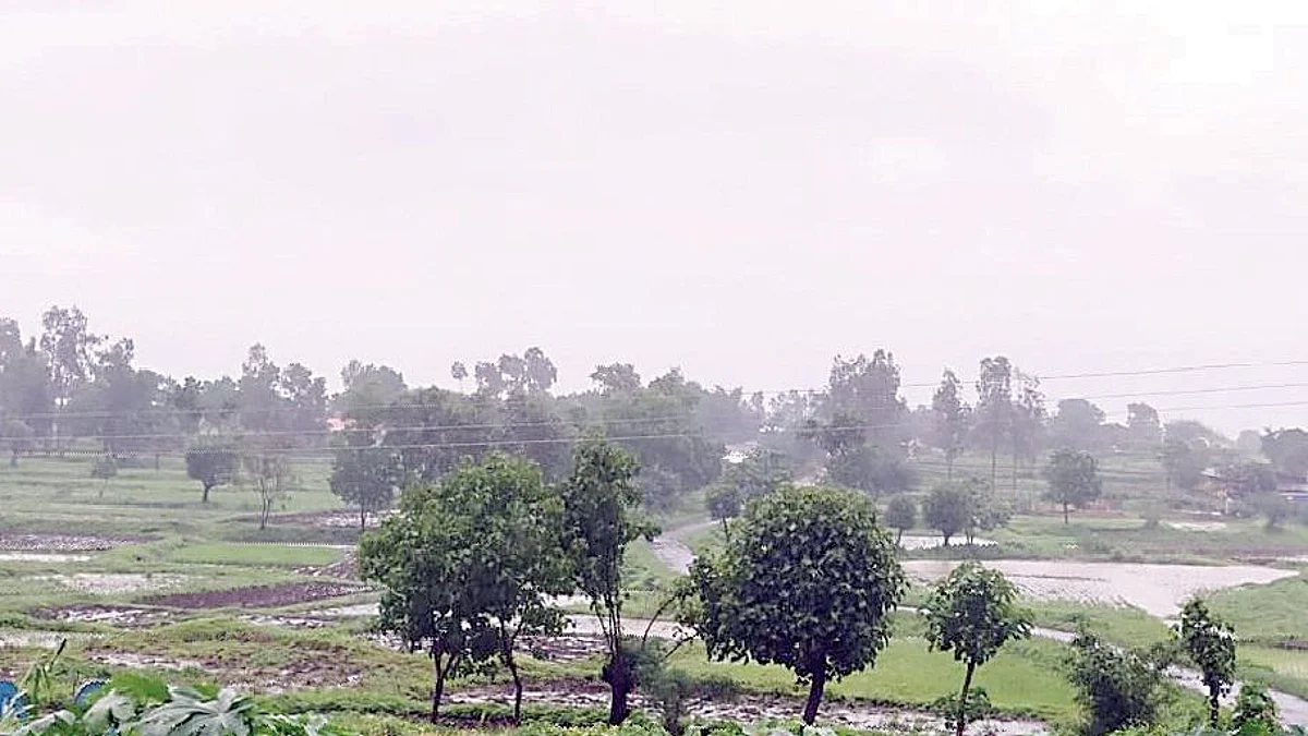 त्र्यंबकेश्वर परिसरात पावसाची संततधार