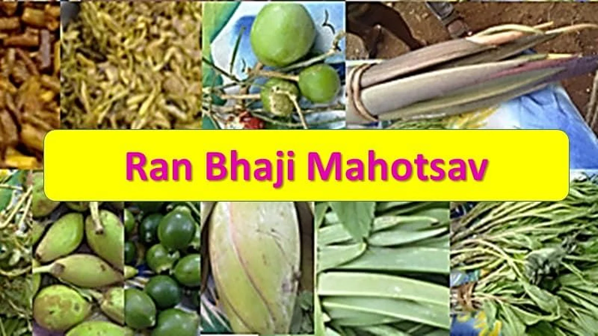 जळगावात रानभाजी महोत्सवाचे आयोजन