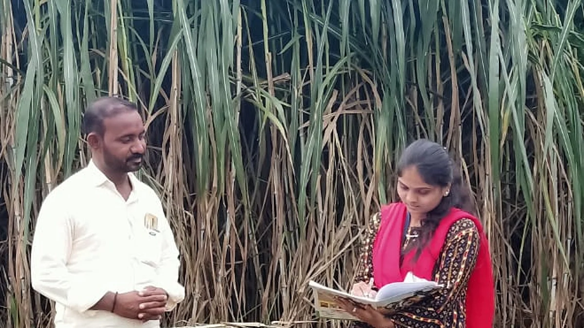 कृषी कन्येने साधला सुपर नेपीअर ग्रास उत्पादक शेतकऱ्याशी संवाद