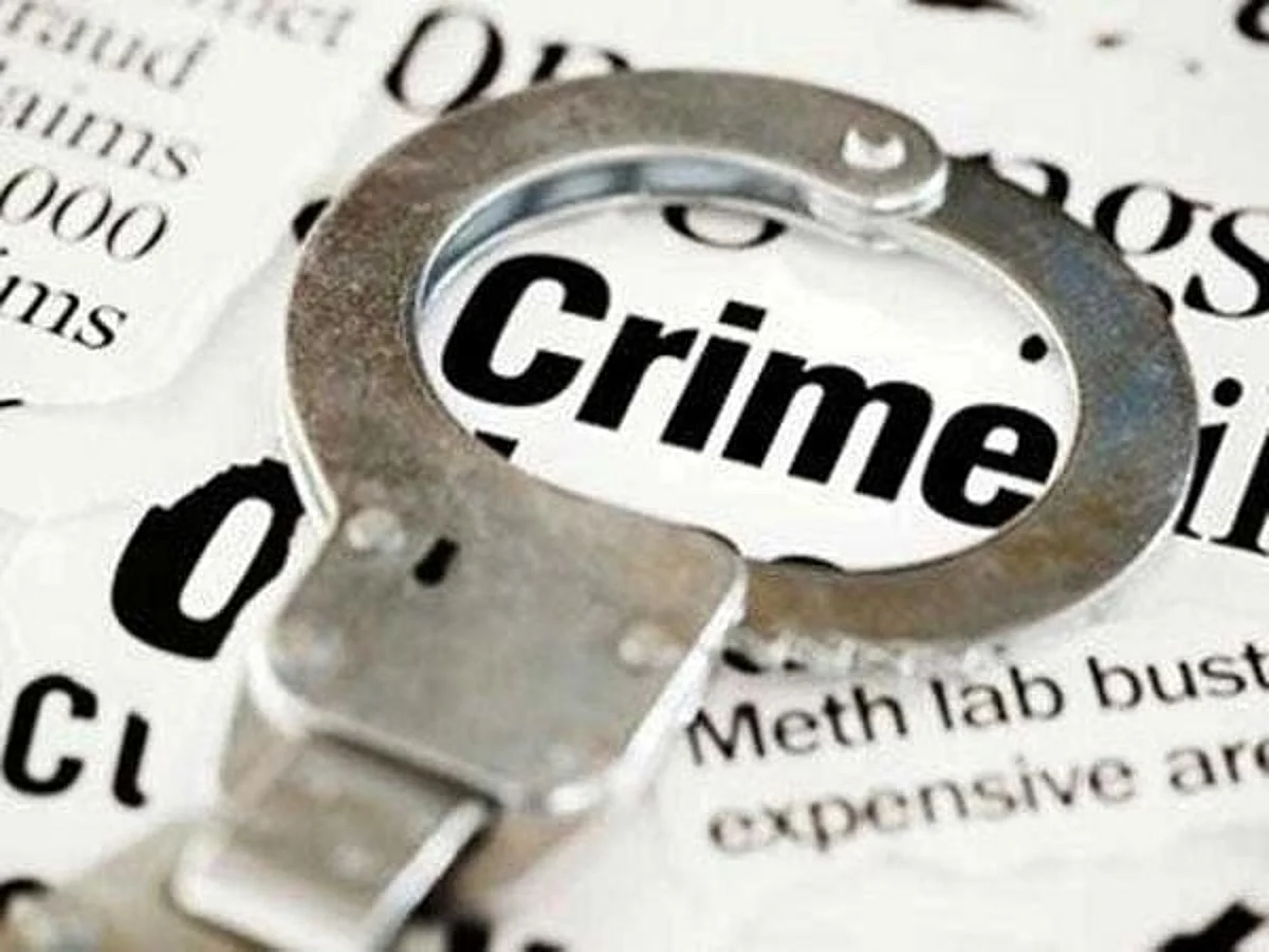 कुक्कुटपालन कंपनीला 54 लाखांचा गंडा