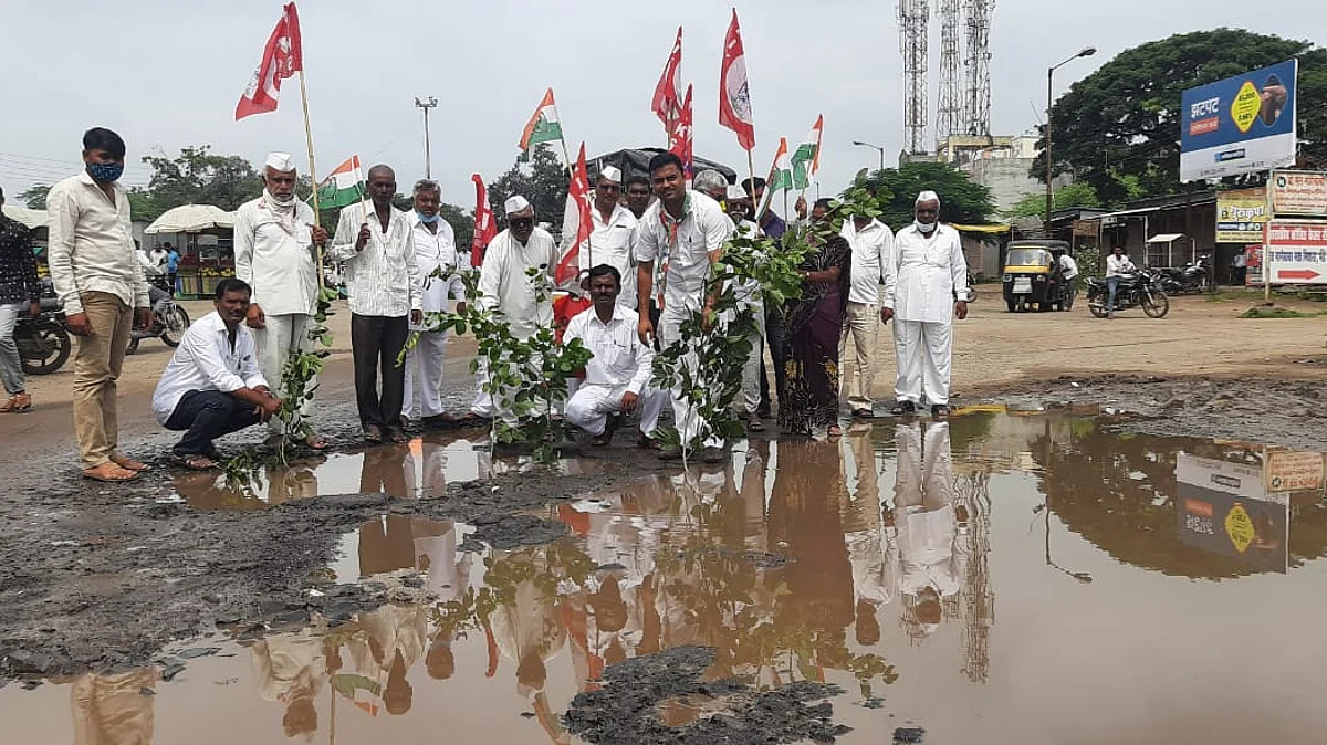 नेवासा-शेवगाव रस्त्यातील खड्ड्यात वृक्षारोपण