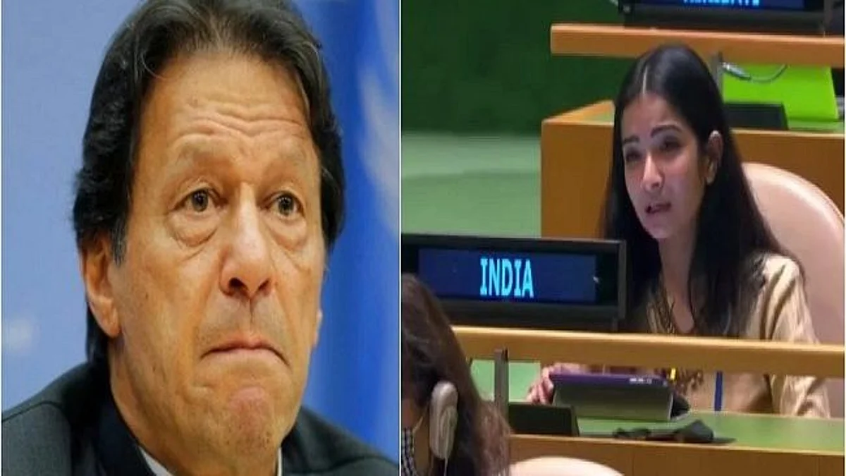 UNGA मध्ये भारतानं पाकिस्तानला तिखट शब्दांमध्ये सुनावलं, पाहा Video