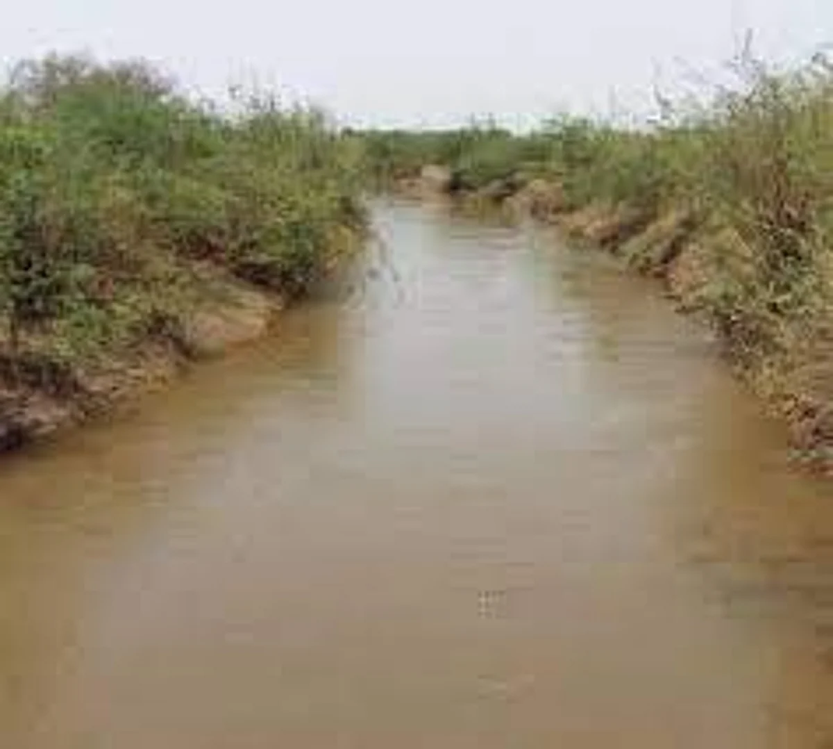 पुढच्या पिढ्यांचे आयुष्य उद्ध्वस्त करू नका - राजेंद्र काकडे