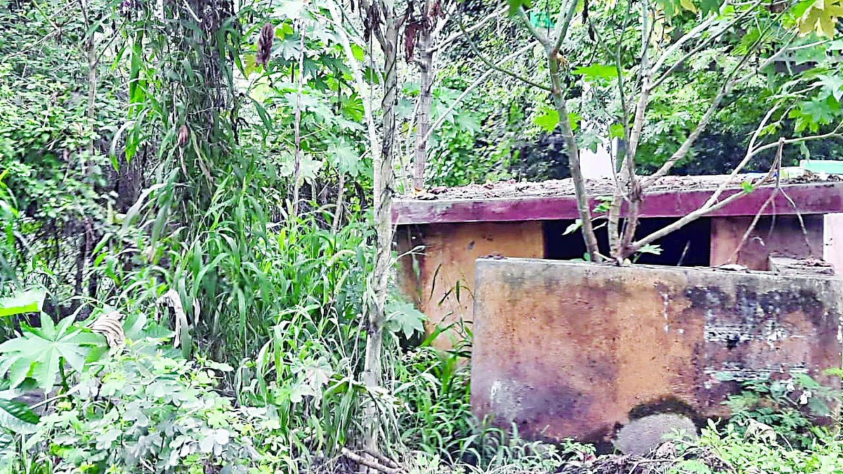 प्रभाग 2 : आजही विकासाची बोंब