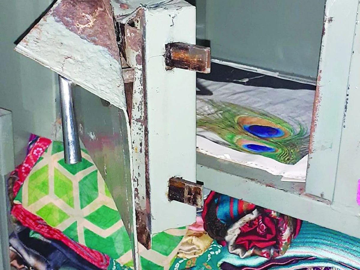 शिरपुरात भरदुपारी चोरट्यांचा धिंगाणा
