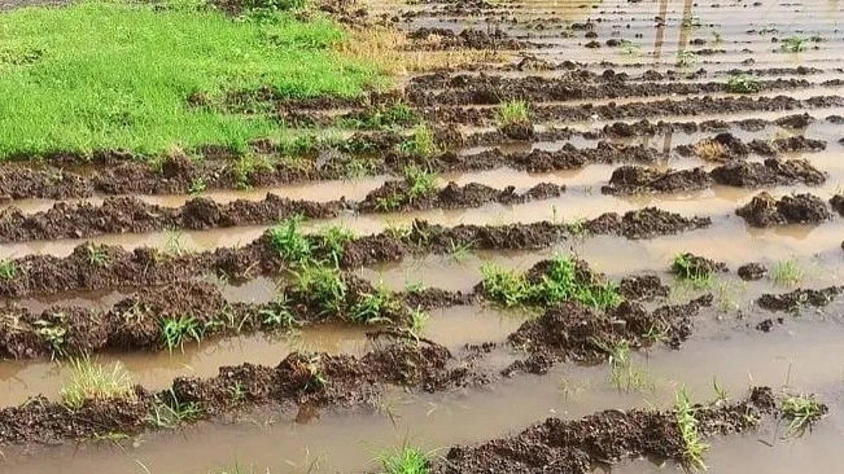 Excess rainfall across India this month