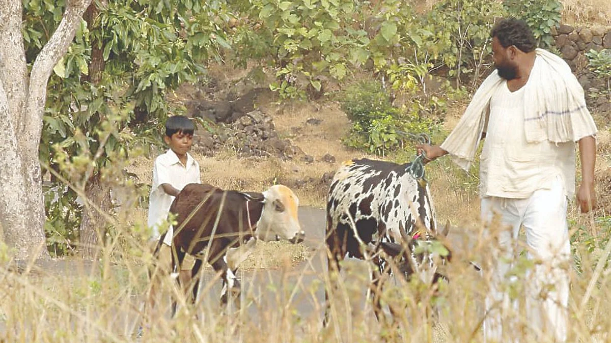 Sapan Sarla: feature film portraying hardships of beneficiaries