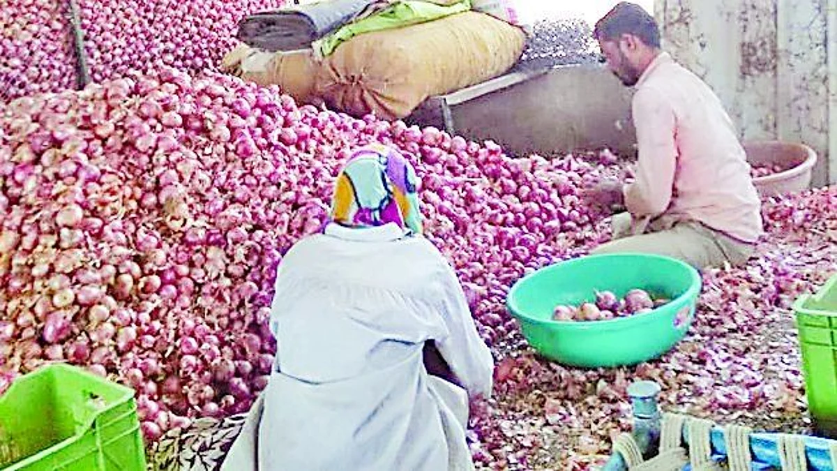 Farmer writes to CM over MSP