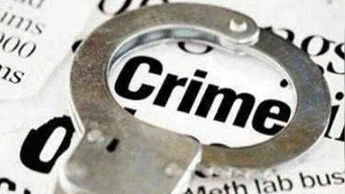 मॉडेल स्कुलला मंजुरीचे आमिष : संस्थाचालकाची ६५ लाखांत फसवणूक