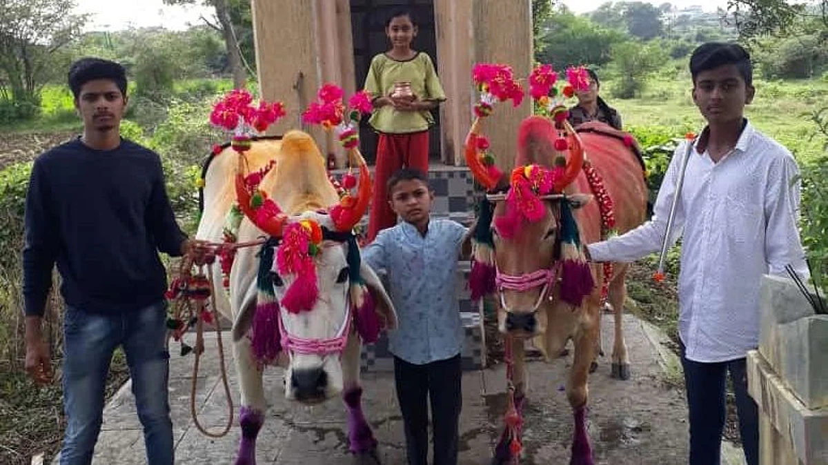 Photo Gallery : कष्ट हवे मातीला चला जपूया पशुधनाला