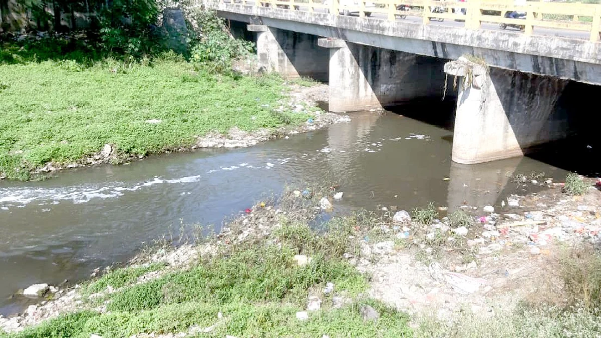 प्रभाग 23 : ‘नंदिनी’ प्रदूषण, गोठ्यांचा प्रश्न गंभीर