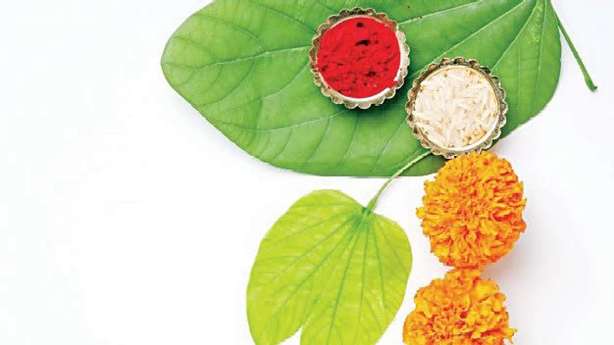 विजयादशमी विशेष : सोने घ्या, सोन्यासारखे राहा!