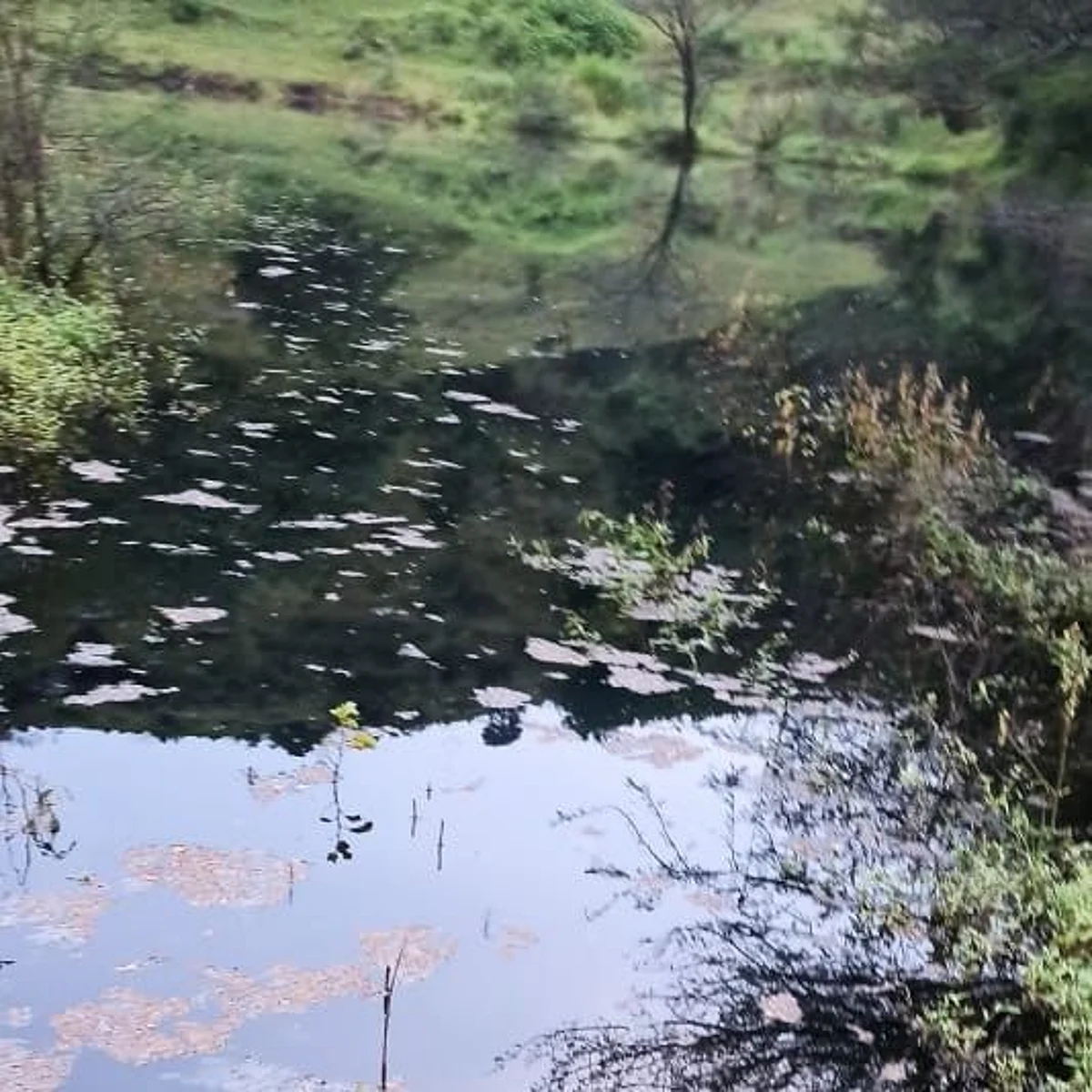 रसायनयुक्त पाण्यामुळे नागरिकांत भीती