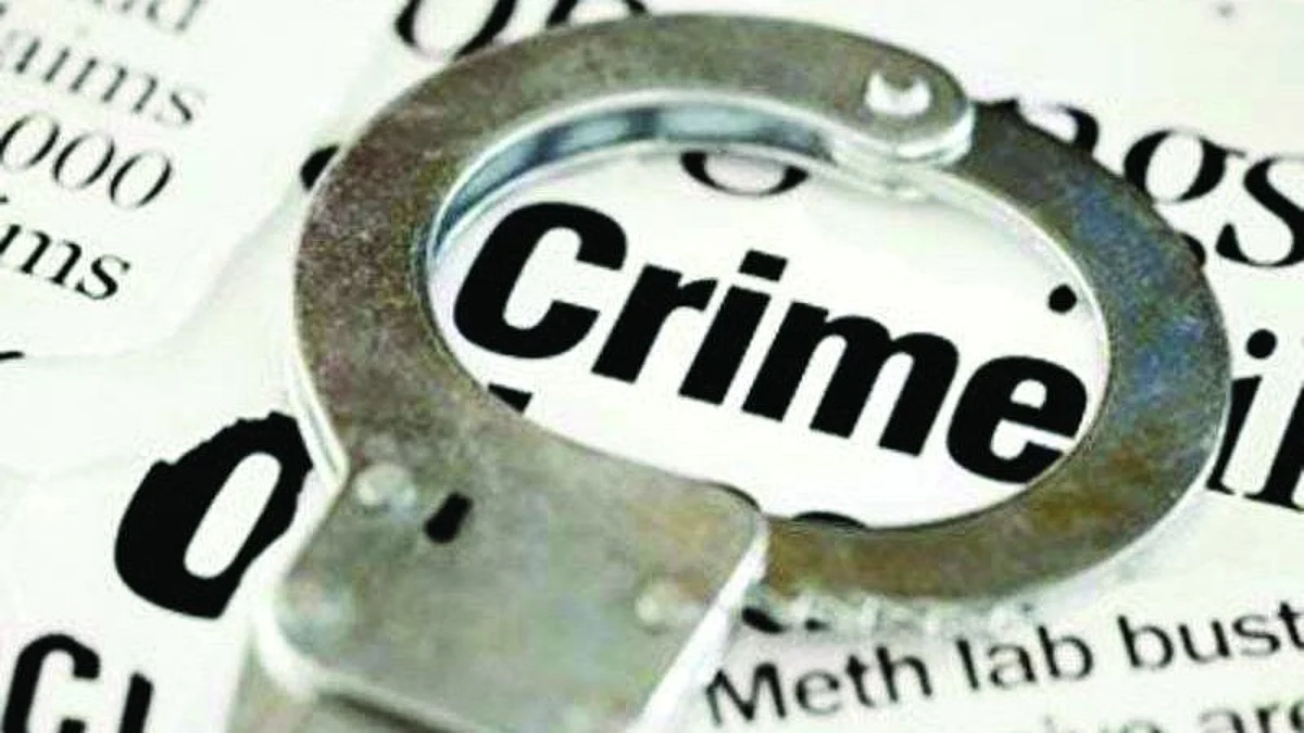 मुलानेच केला जन्मदात्या आईचा खून
