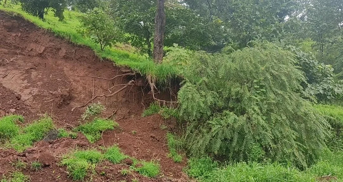 धोकादायक स्थितीतील झाडे बाजूला करण्याची मागणी