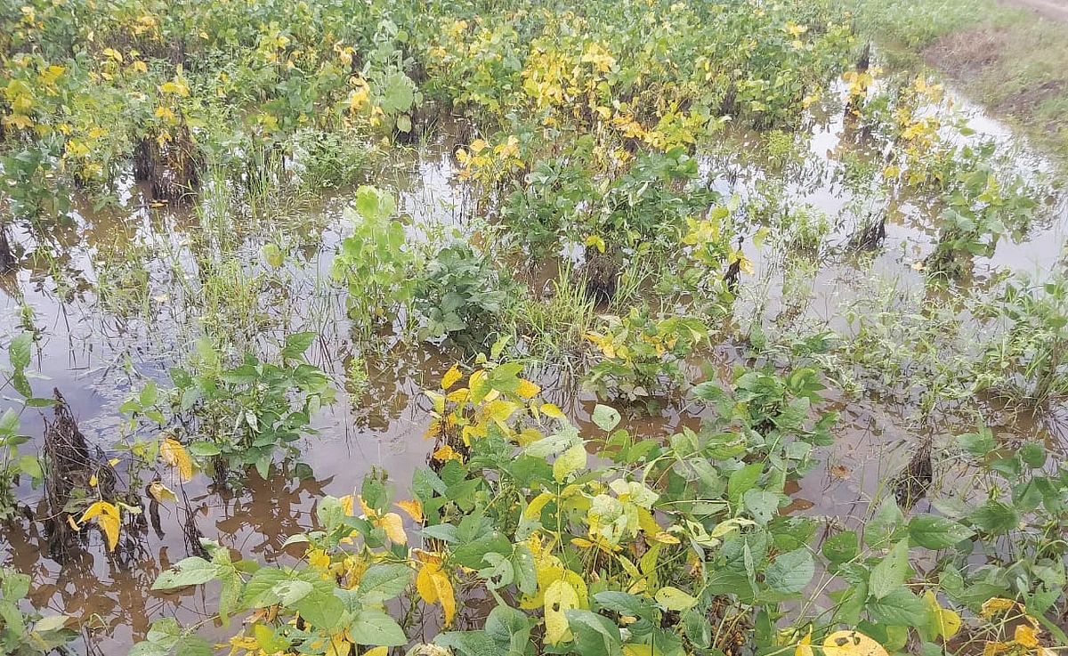 अतिरिक्त पावसाने पाचेगाव परिसरात प्रचंड नुकसान