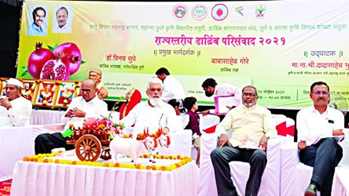 रोगराईमुळे डाळिंब संकटात