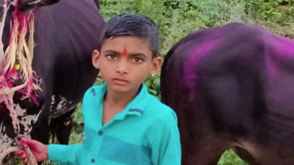 बैलगाडीच्या चाकाखाली सापडून बारा वर्षीय मुलाचा दुर्दैवी मृत्यू