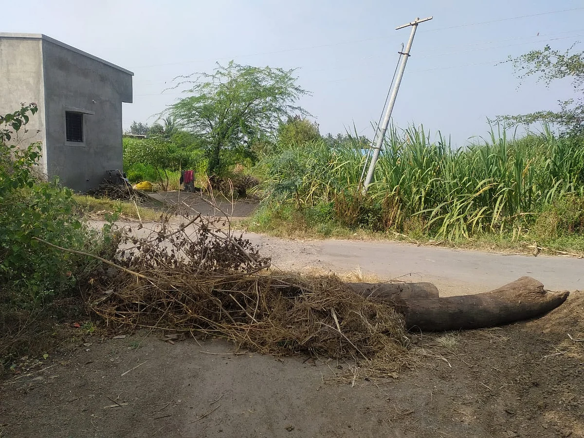 भाऊबंदकीच्या वादातून देवळाली प्रवरा मुसमाडेवस्ती शाळेचा रस्ता बंद