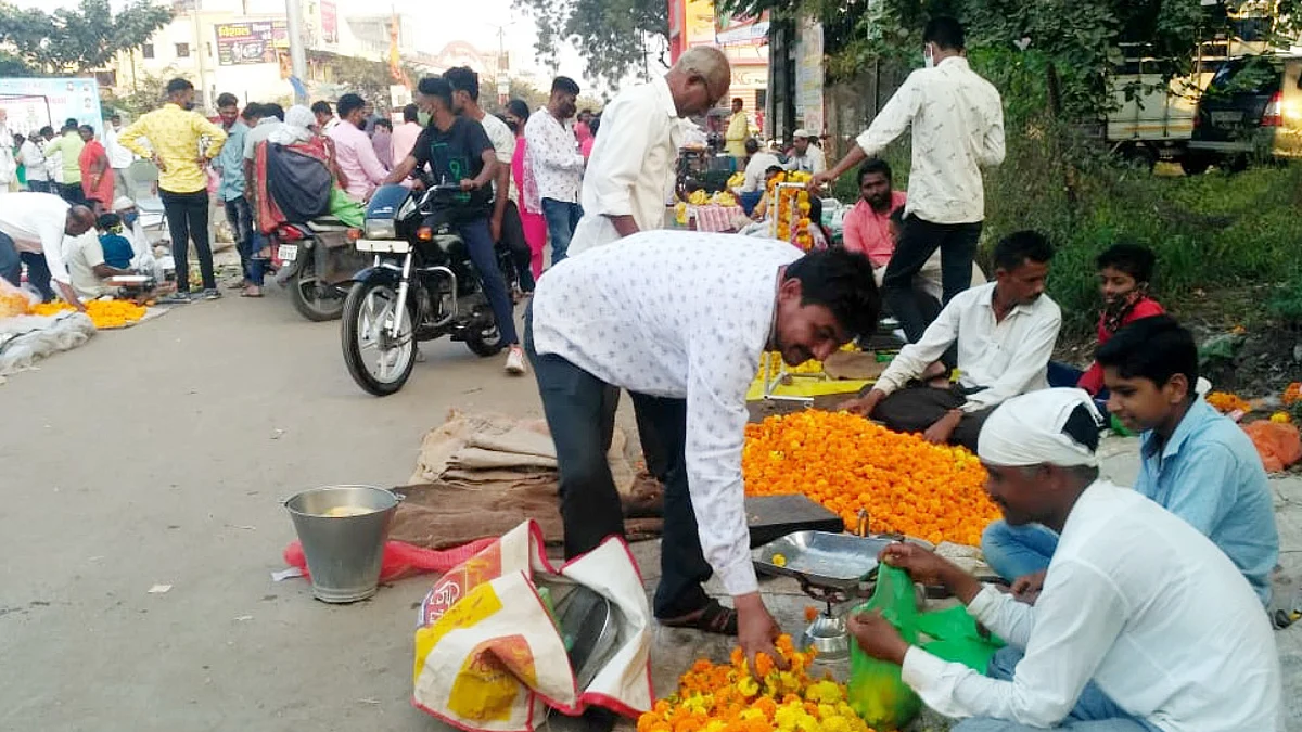 झेंडूच्या भावात उसळी अन् घसरण