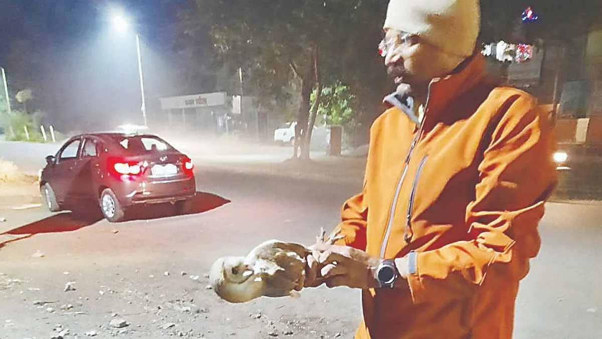 Owl saved by alert citizens