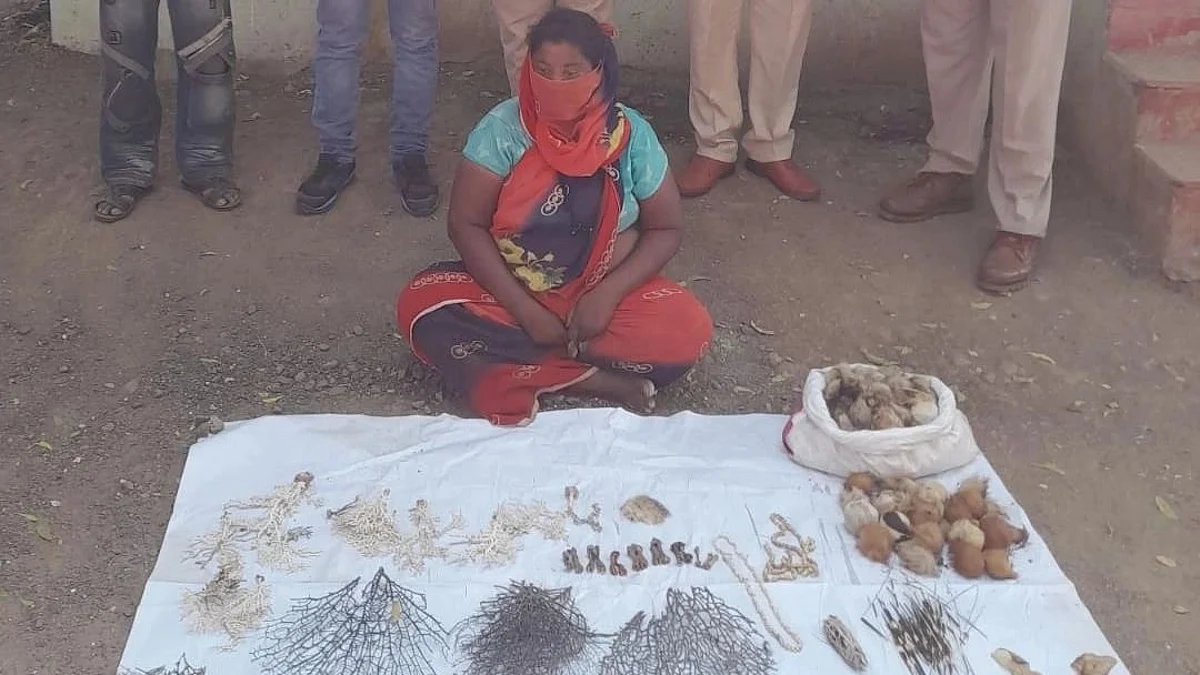 वन्यजीवांचे अवशेषासह वनस्पतींची विक्री करणार्या महिलेस अटक