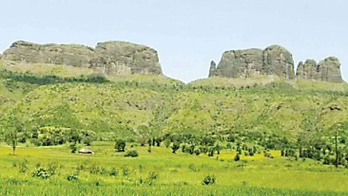 ब्रह्मगिरी परिसंवेदनशील क्षेत्र जाहीर करा : राजेंद्रसिंह