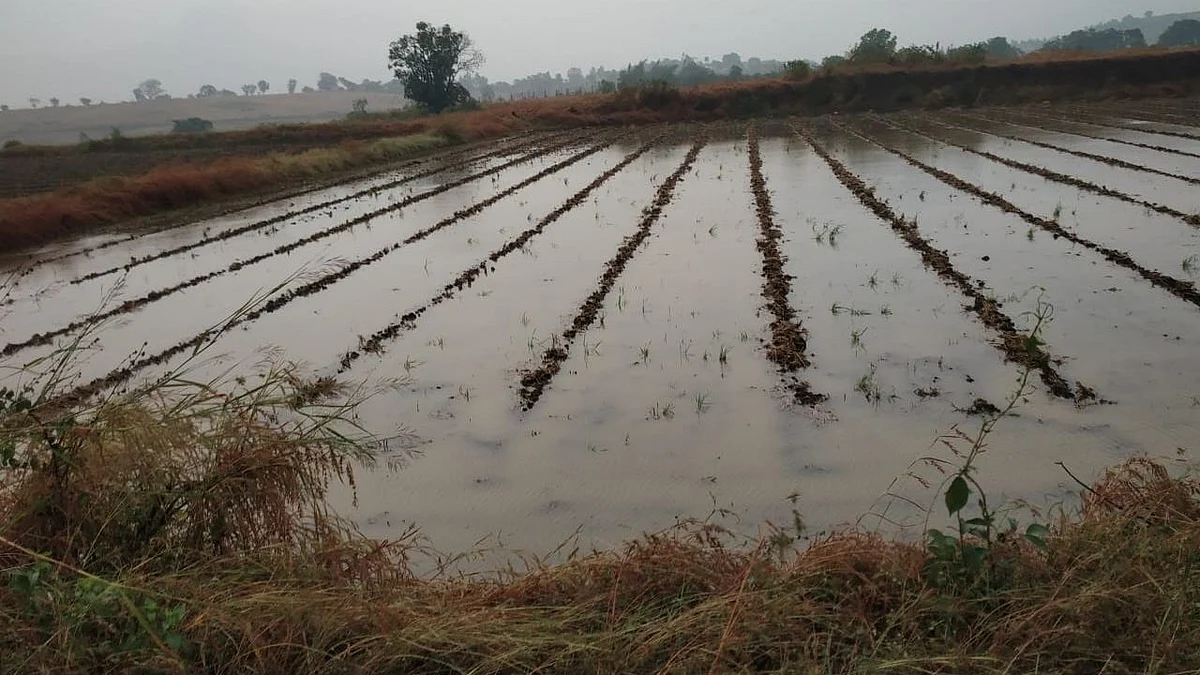 वातावरण शेतकर्यांच्या मुळावर