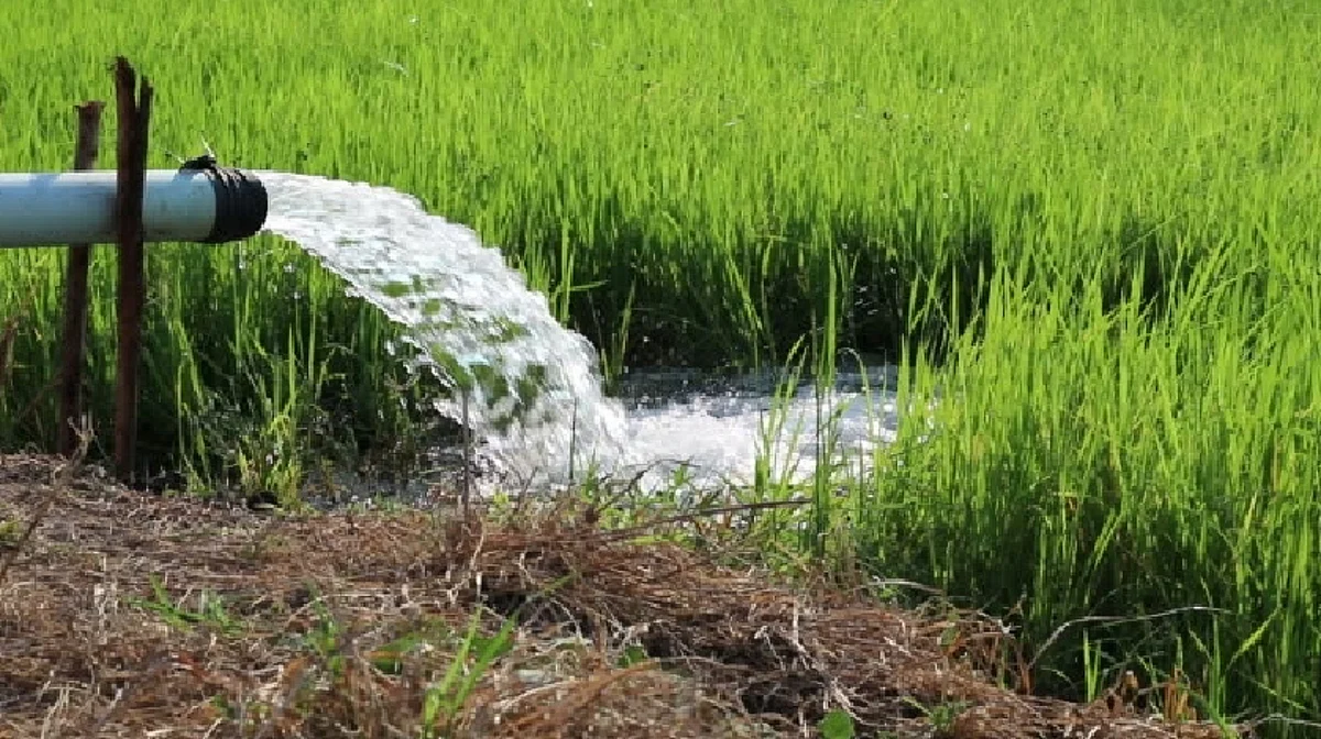 नव्या कृषी वीज धोरणाला शेतकर्यांचा वाढता प्रतिसाद